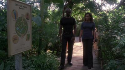 Diane: So are you gonna tell me? - Fringe