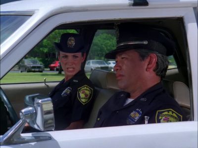 DICK, THAT MAN BEHIND THE WHEEL. - Hawaii Five-O