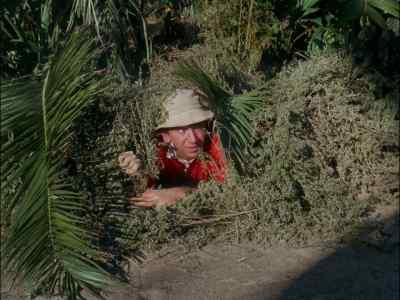 DID ANYBODY ELSE
GET KILLED BESIDES ME? - Gilligan's Island