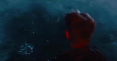 Did anyone check on whether Weasel could swim - The Suicide Squad