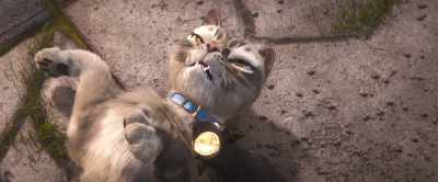 Did anyone get the
license of that tornado? - Gracie & Pedro: Pets to the Rescue