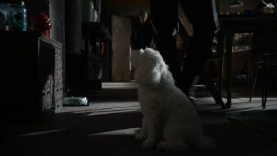Did Bane get here first? - The Blacklist