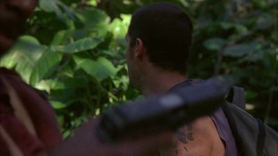 Did that bird just say my name? - Lost