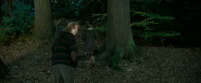 HAGRID: Did you bring your father's cloak, like I asked ya? - Harry Potter and the Goblet of Fire