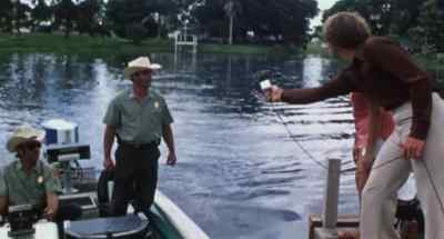 - Did you call about a nuisance alligator?
- Yes, l did. - Faces of Death