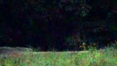 Did you catch that - Paranormal Caught on Camera
