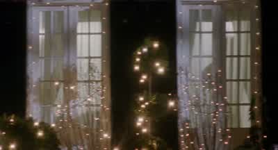 Did they come back? - Home Alone