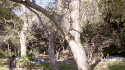 Did your contact say
where the storm drain was? - The Mentalist