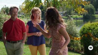 Did you do this? - Love Stories in Sunflower Valley