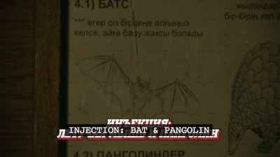 - Did you ever eat a bat?
- Oh, no. - - Borat Subsequent Moviefilm