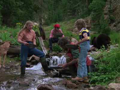 Did you find anything? - Mountain Family Robinson