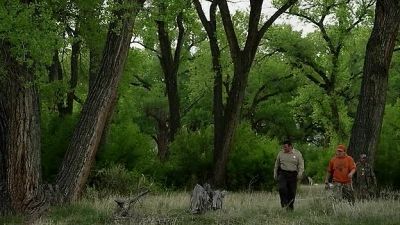 Did you find the girl? - Longmire