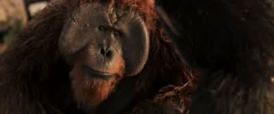 Did... for us. - War for the Planet of the Apes