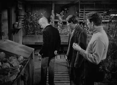 Did you get your picture - The Thing from Another World