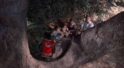 Did you get up close to him? - The Waltons