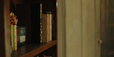 Did you guys see
that? - Cabin Girl