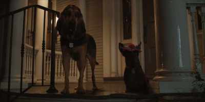 - Did you hear all that ruckus?
- Mm-hmm. - Lady and the Tramp