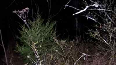 Did you hear that - Paranormal Caught on Camera
