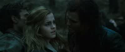 Did you hear that, ugly?The list says you're lying. - Harry Potter and the Deathly Hallows: Part 1