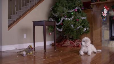 Did I bust some moves - Santa Buddies