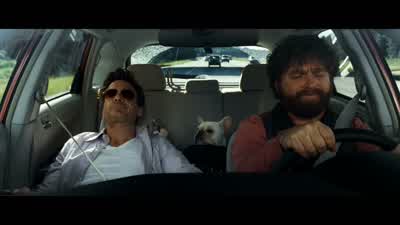 - Did I snore last night? - Due Date
