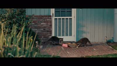 ♪ Did I weep? - Bridesmaids