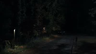 Did it work? - Teen Wolf