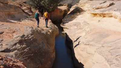 Did you know this entire
park was created from rain? - Love in Zion National: A National Park Romance