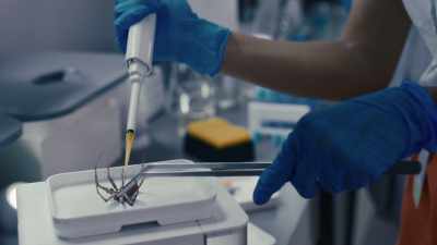 Did you know that extracting a spider'’s
venom is actually called milking it? - The Ark