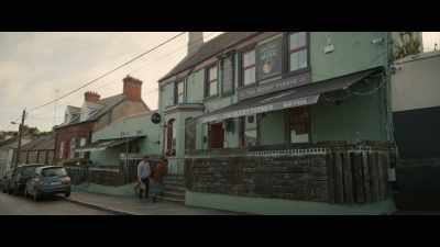 Did you know Fiona? - Bodkin