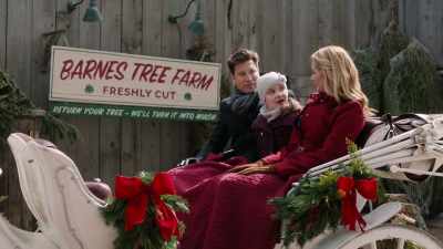 Did you know it takes seven
years to grow a christmas tree - Match Made in Mistletoe