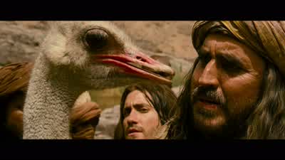 Did you know that ostriches have suicidal tendencies? - Prince of Persia: The Sands of Time