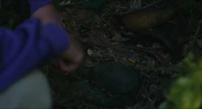 Did you know
there used to be a pond here? - Shoplifters