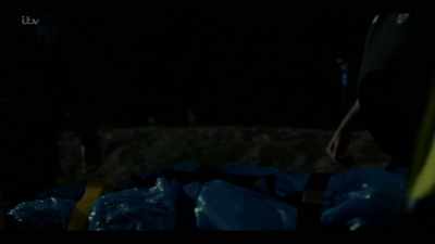 Did Mark's arrival in the family - Flesh and Blood