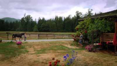 Did you pack the sunscreen? - Yellowstone Romance