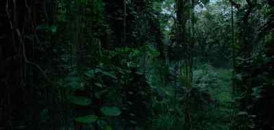 Did you pay for the damage? - Triple Frontier
