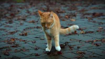 Did this place get even creepier
than the last time we were here? - Scaredy Cats