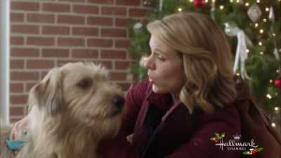 Did you put up more
Christmas decorations in here? - A Gift to Remember