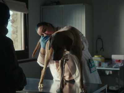 - Did you realize that it's
a hermaphrodite? - No. - Un amor