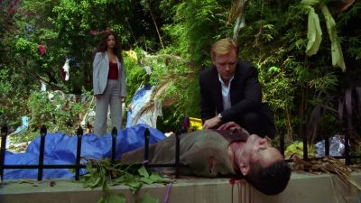 Did rescue clear the house? - CSI: Miami
