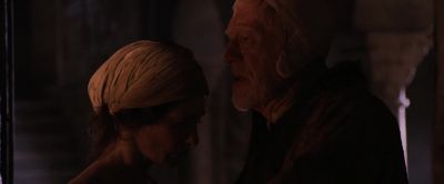 Did you see him die? - Robin Hood