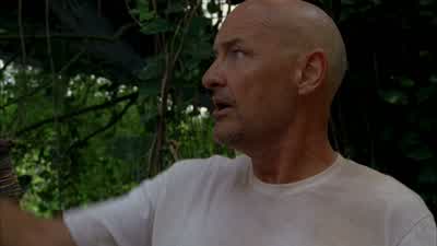 Did you see that? - Lost