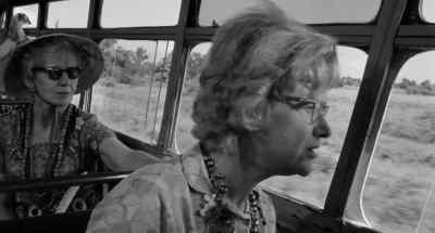 Did you see that? - The Night of the Iguana