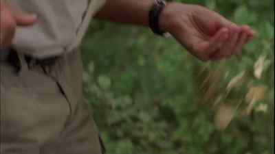 - Did you see that?
- Yeah. - Anaconda 3: Offspring