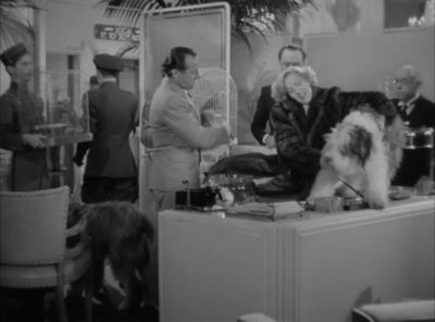 Did you see the papers - Easy Living