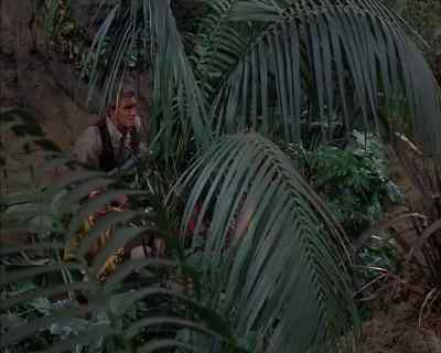 Did you see what he dropped
in that stump? - Land of the Giants
