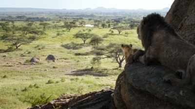 Did he show you the shadows
beyond the northern borders? - The Lion King