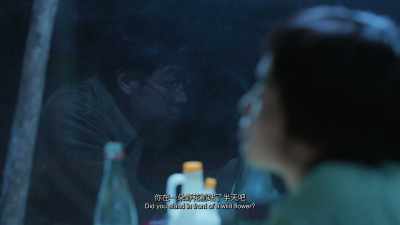 Did you stand in front of a wild flower? - The Shadowless Tower