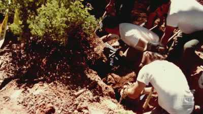 Did they stumble upon
some sort of killing field? - Manifesto of a Serial Killer