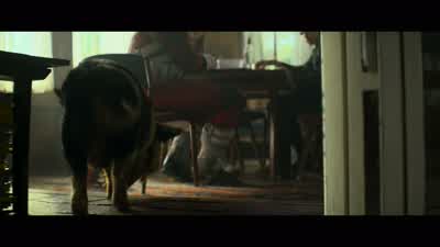 Did that pig just open the door? - Black Widow